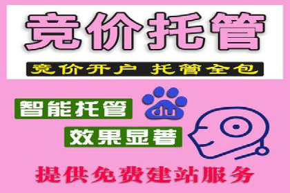 百度竞价推广案例：打造高效营销策略